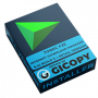 Internet Download Manager (IDM) 6.41B3 with Retail
