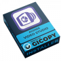 ACDSee Video Studio 4.0.1.1013