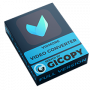 Vidmore Video Converter 1.3.22