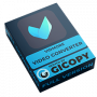 Vidmore Video Converter 1.3.26