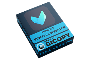 Vidmore Video Converter 1.3.28